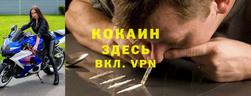 купить наркоту  Козловка  Cocaine Эквадор 