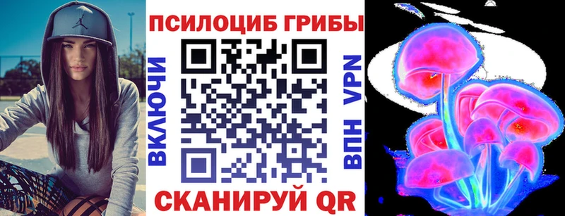 где можно купить наркотик  Козловка  Псилоцибиновые грибы Magic Shrooms 